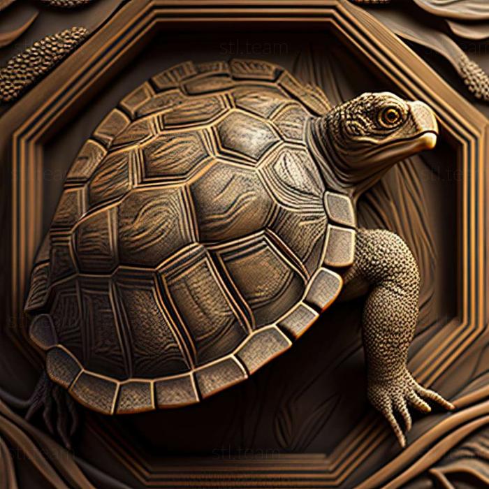 3D model Trachemys decussata (STL)